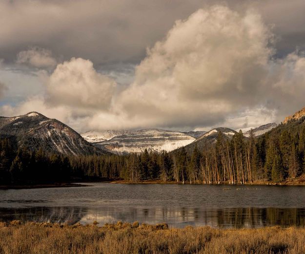 Soda Lake. Photo by Dave Bell.