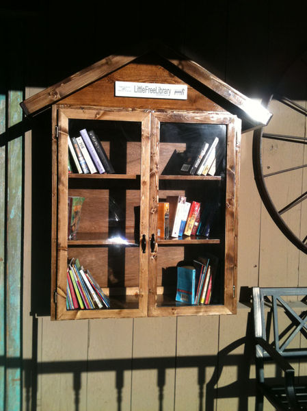 New Little Free Library. Photo by Dawn Ballou, Pinedale Online.