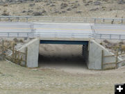 Underpass. Photo by Dawn Ballou, Pinedale Online.