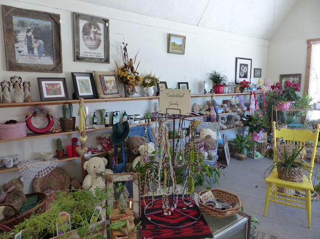 Inside store. Photo by Dawn Ballou, Pinedale Online.