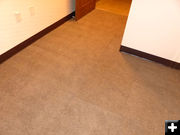 Carpet. Photo by Dawn Ballou, Pinedale Online.