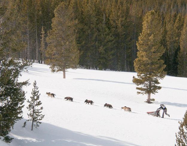 On the trail below. Photo by Chris Havener.