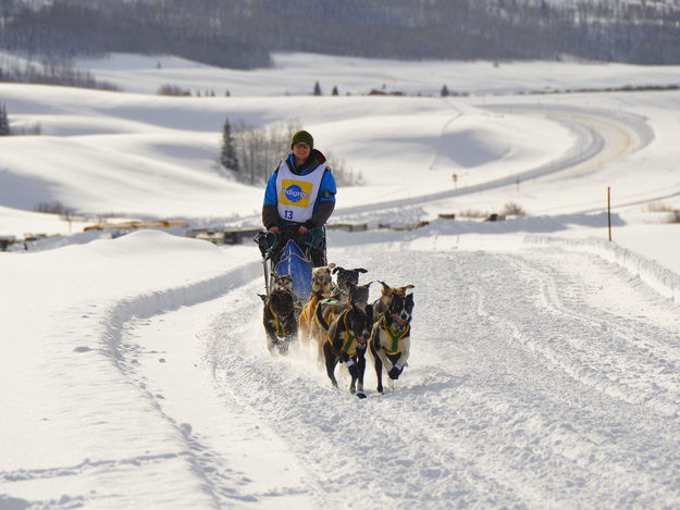 Bounding up the hill. Photo by Terry Allen.