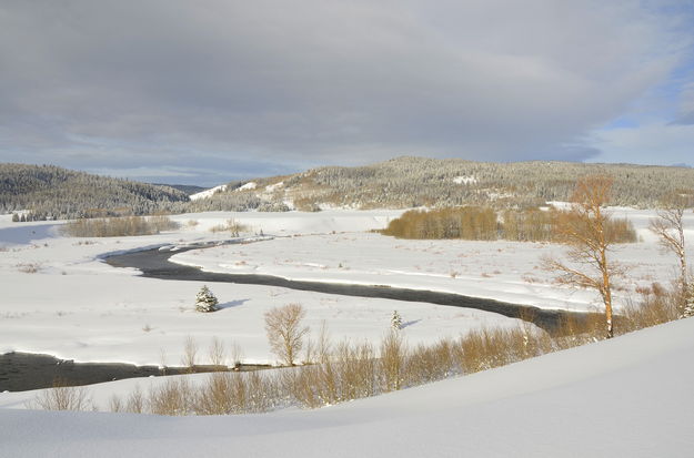 Green River. Photo by Terry Allen.