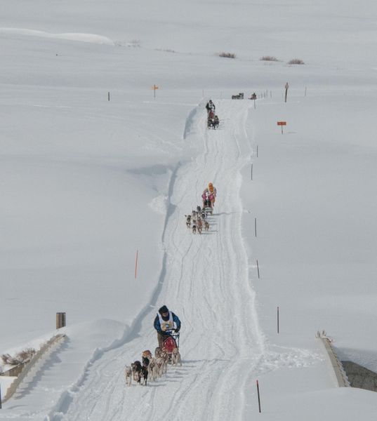 Open trail. Photo by Chris Havener.