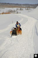 Trouble on the trail. Photo by Terry Allen.