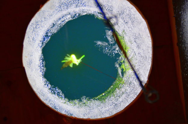 Looking in the ice hole. Photo by Terry Allen.