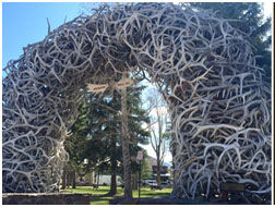 Elk antler arch. Photo by Jackson Hole Chamber.