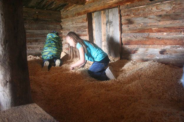 Digging for ice. Photo by Pinedale Online.