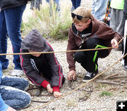 Beaver trap. Photo by Dawn Ballou, Pinedale Online.