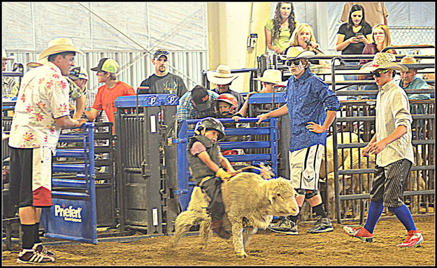 Mutton Buster. Photo by Terry Allen.