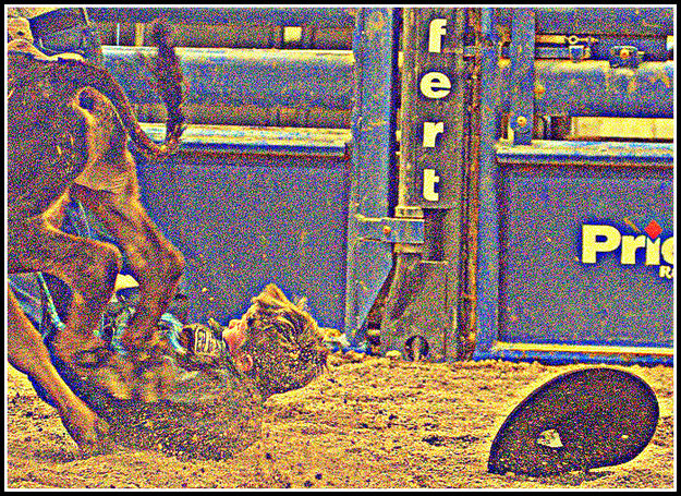 Bull rider. Photo by Terry Allen.