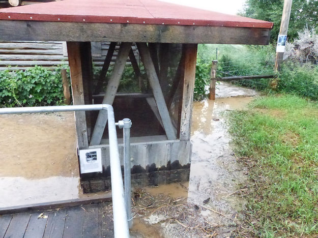 Behind Meat House. Photo by Dawn Ballou, Pinedale Online.