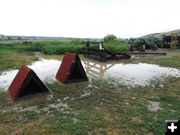 Chicken Coups. Photo by Dawn Ballou, Pinedale Online.