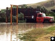 Wet playground. Photo by Jonita Sommers.