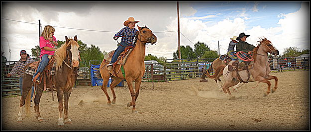 Horse Race. Photo by Terry Allen.