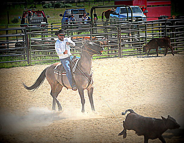 Dusty Work. Photo by Terry Allen.