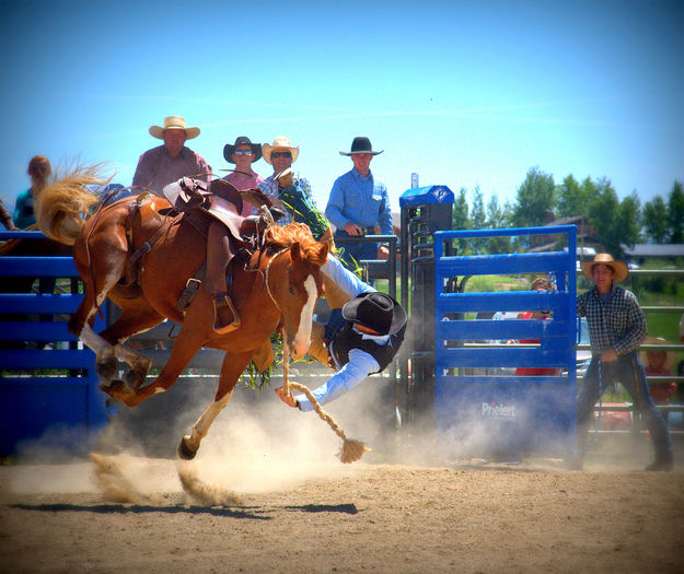 Still Holding On. Photo by Terry Allen.