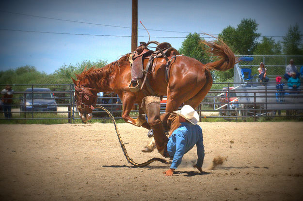 Touchdown. Photo by Terry Allen.