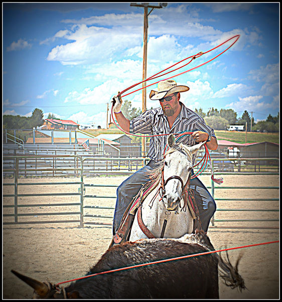 Loop, Steer, Sky. Photo by Terry Allen.