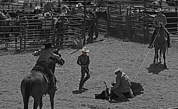 Running in with the Iron. Photo by Terry Allen.