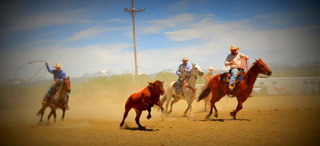 Rope a Steer. Photo by Terry Allen.