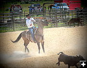 Dusty Work. Photo by Terry Allen.