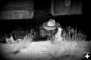 Resting up for Another Ride. Photo by Terry Allen.