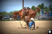 Touchdown. Photo by Terry Allen.