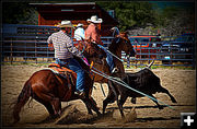 Team Stop. Photo by Terry Allen.