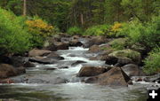 Tumbling creek. Photo by Fred Pflughoft.