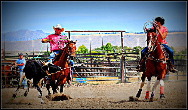 Teamwork. Photo by Terry Allen.