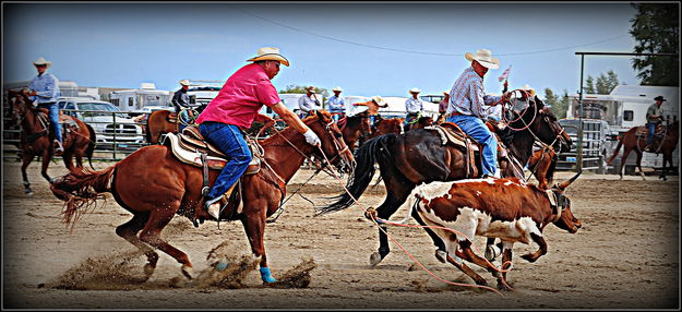 Heeled. Photo by Terry Allen.