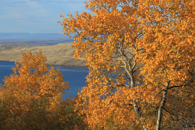 Beautiful view. Photo by Fred Pflughoft.