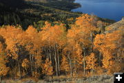 High view of the lake. Photo by Fred Pflughoft.