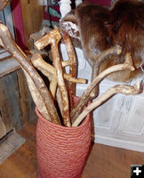 Walking sticks. Photo by Dawn Ballou, Pinedale Online.