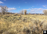 Close Nature Reserve. Photo by Eric Schacht.