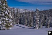 Untracked Powder. Photo by Arnold Brokling.