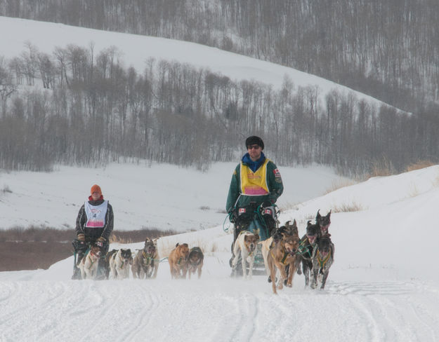 Sled Dog Race. Photo by EUKANUBA Stage Stop Race .