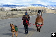 The Three Packers. Photo by Terry Allen.