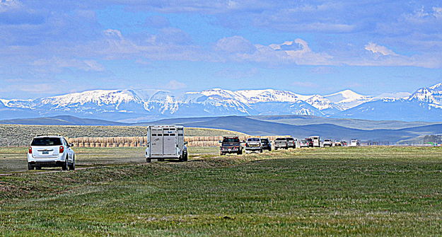 Convoy to Second Branding Site. Photo by Terry Allen.
