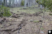 Pull Out Marks in Mud. Photo by Terry Allen, Pinedale Online!.