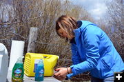 Washing Up. Photo by Terry Allen.