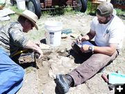 Taking measurements. Photo by Dawn Ballou, Pinedale Online.