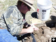 Finding a chip. Photo by Dawn Ballou, Pinedale Online.