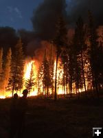 Night burn. Photo by Bridger-Teton National Forest.