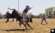 Steer Riding. Photo by Terry Allen.