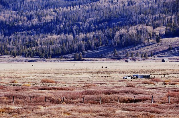 Riding Out to the Livestock. Photo by Terry Allen.