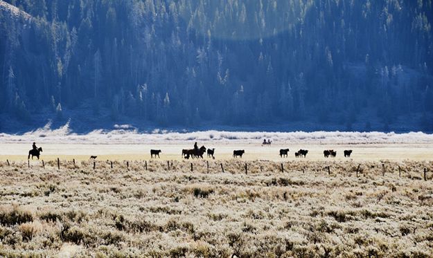 Gathering. Photo by Terry Allen.