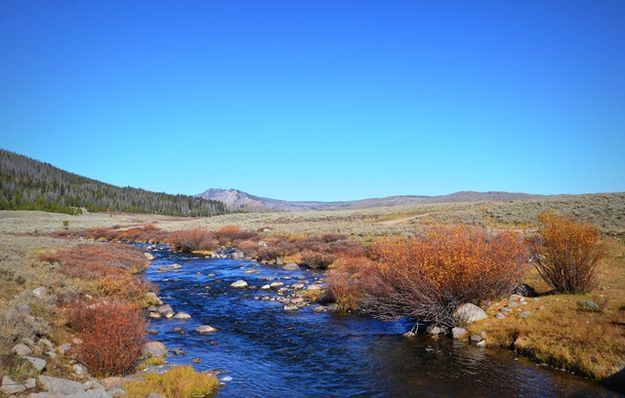 Tributary of the Green. Photo by Terry Allen.